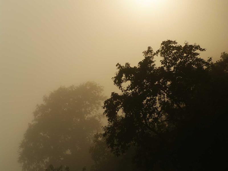 Tranquil studio environment