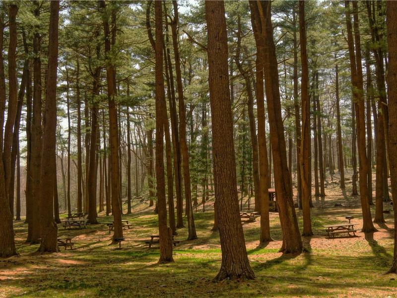 Tranquil studio environment