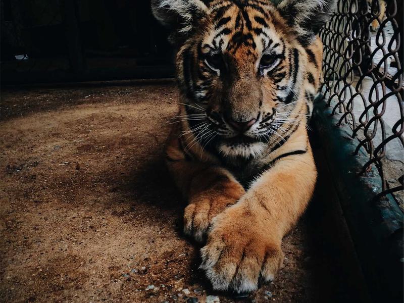 Professional workspace