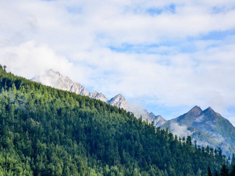 Massage therapy session